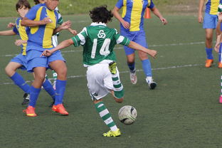 开云体育APP下载-多特蒙德力克本菲卡，内马尔扑点救主亚洲杯——一场令人热血沸腾的体育盛宴