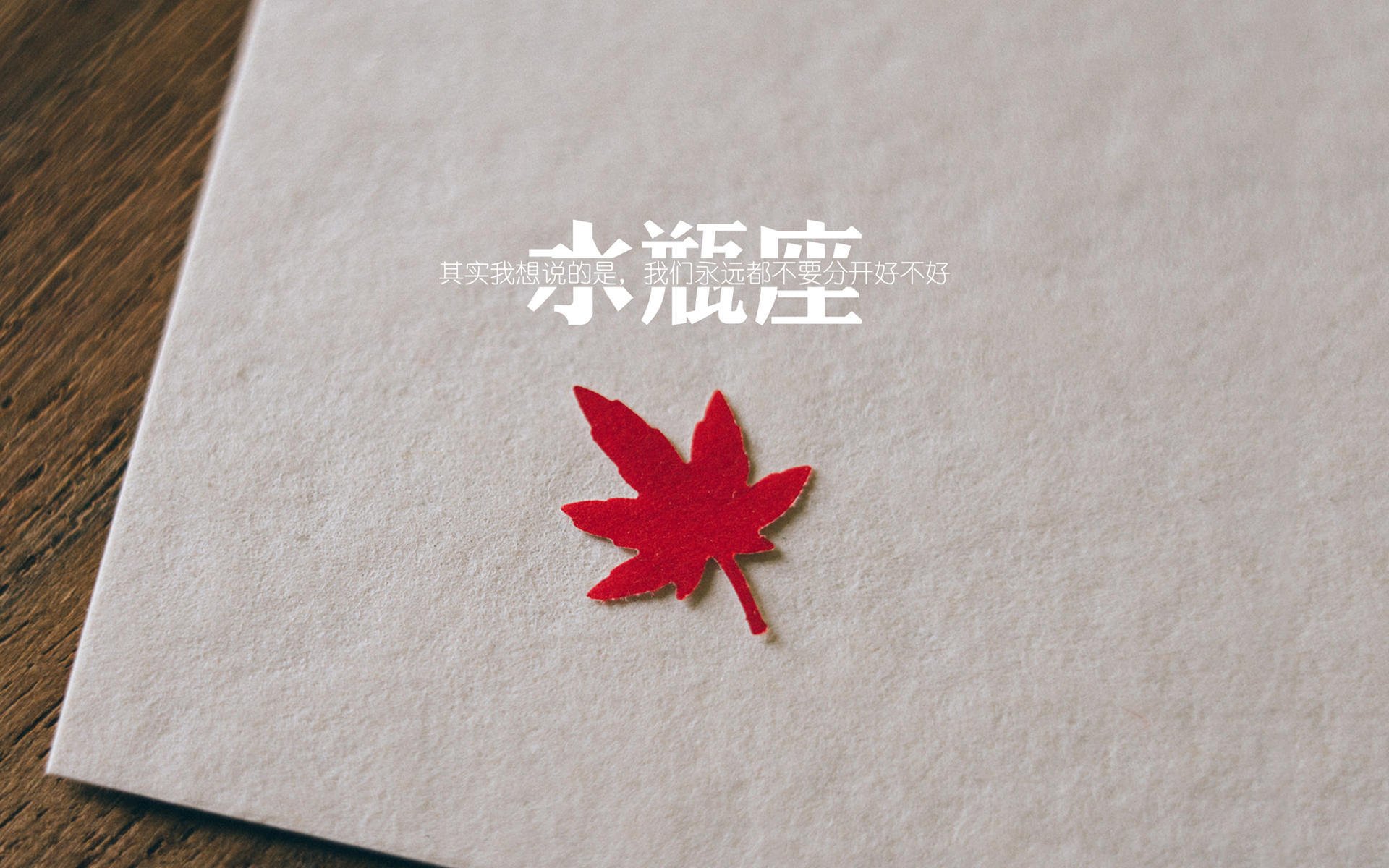 新势力崛起日，文班亚马的圣城宣言与切特·霍尔姆格伦的欧陆加冕礼