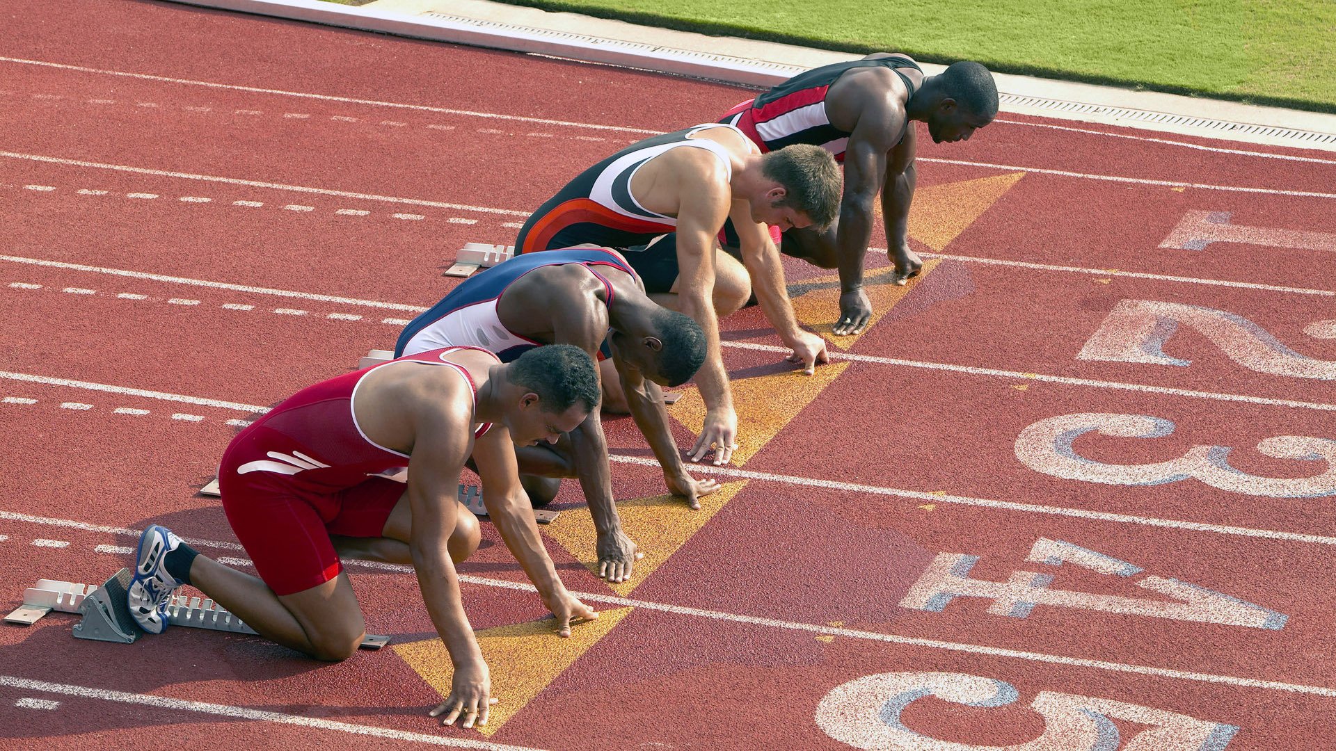 范戴克领衔攻防一体,厄瓜多尔绝杀澳大利亚引爆D组死亡之组
